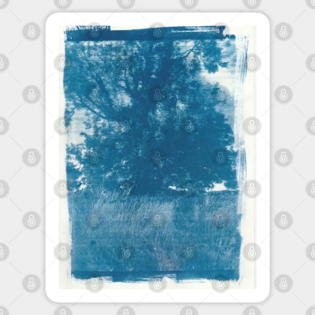 Tree Cyanotype Sticker by amylouiseart